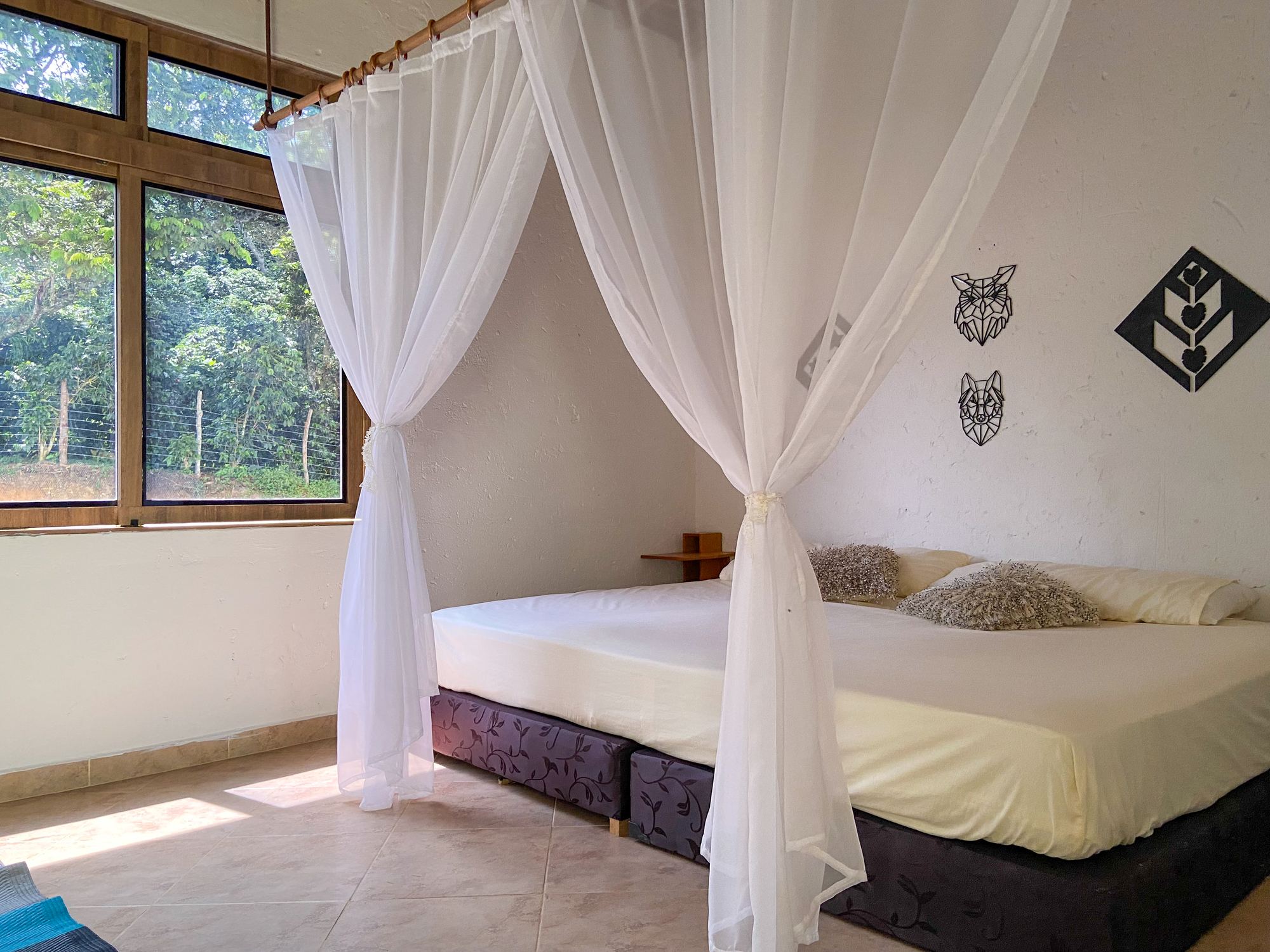 Bright guest room with a canopy bed draped in white netting